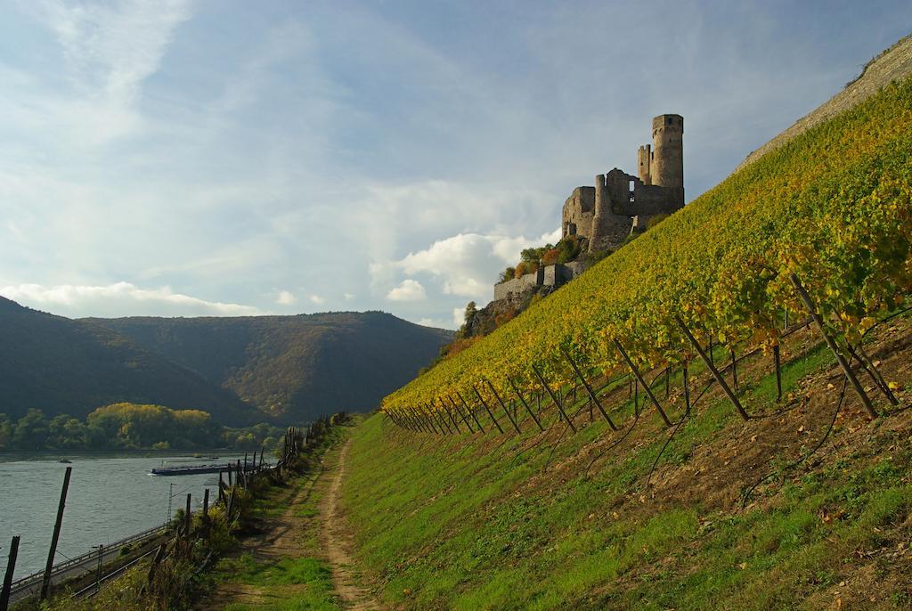 Residence Bellevue Boppard Εξωτερικό φωτογραφία